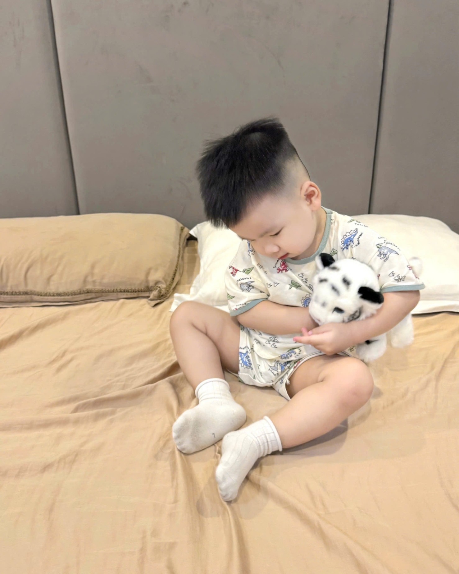 TH830- SET 2 BỘ KHỦNG LONG DINO BÉ TRAI