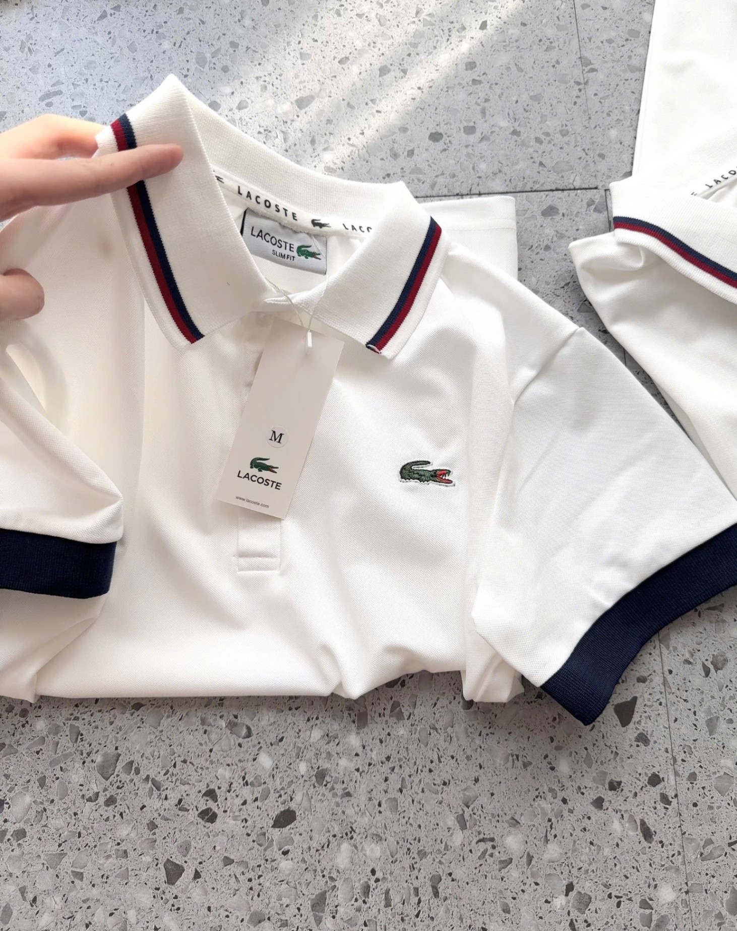 Y4531- ÁO POLO NỮ TRẮNG LASCOTE CỔ VIỀN ĐEN ĐỎ