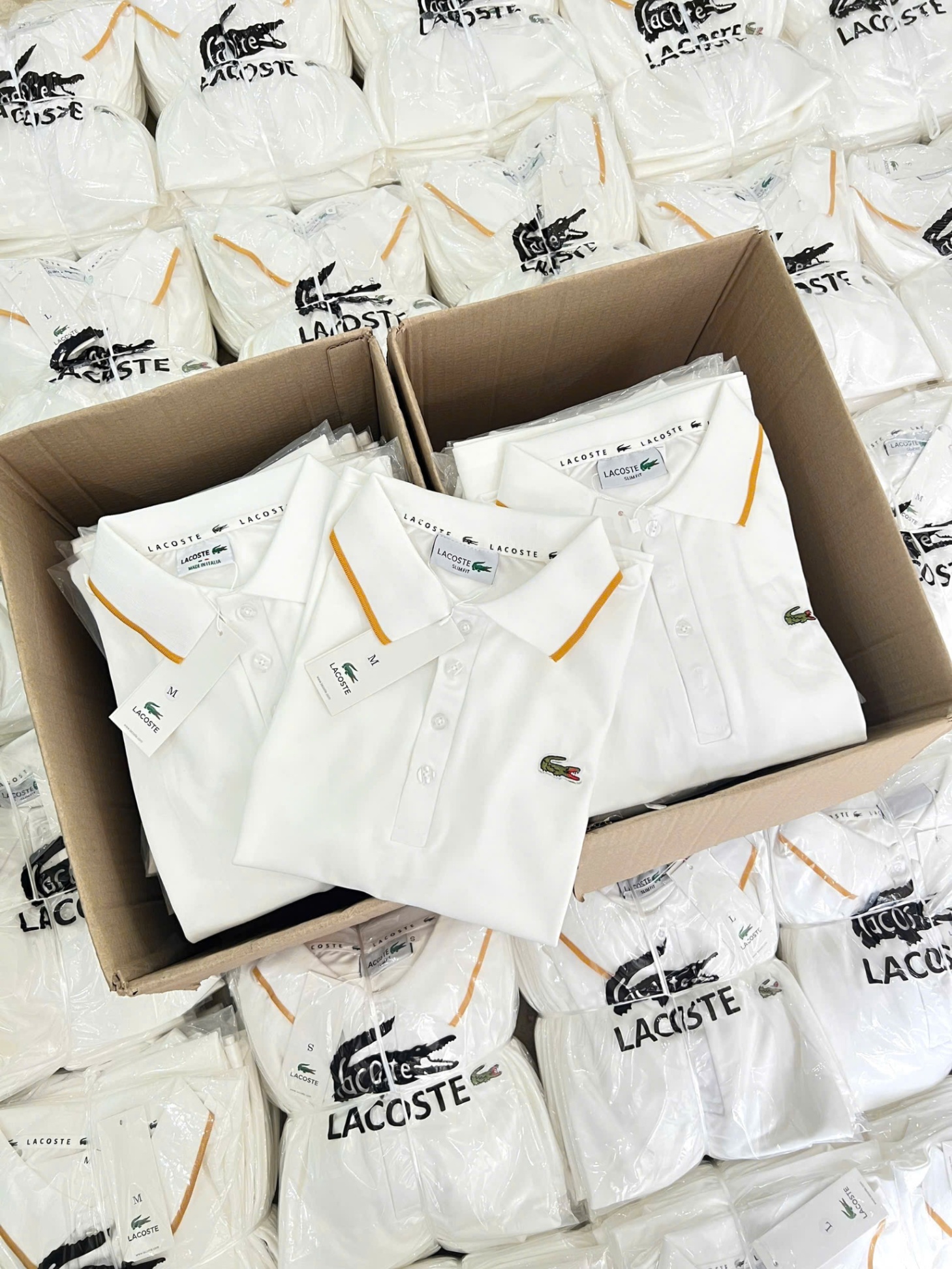 Y4566-ÁO POLO NỮ LASCOTE TRẮNG CỔ VIỀN VÀNG