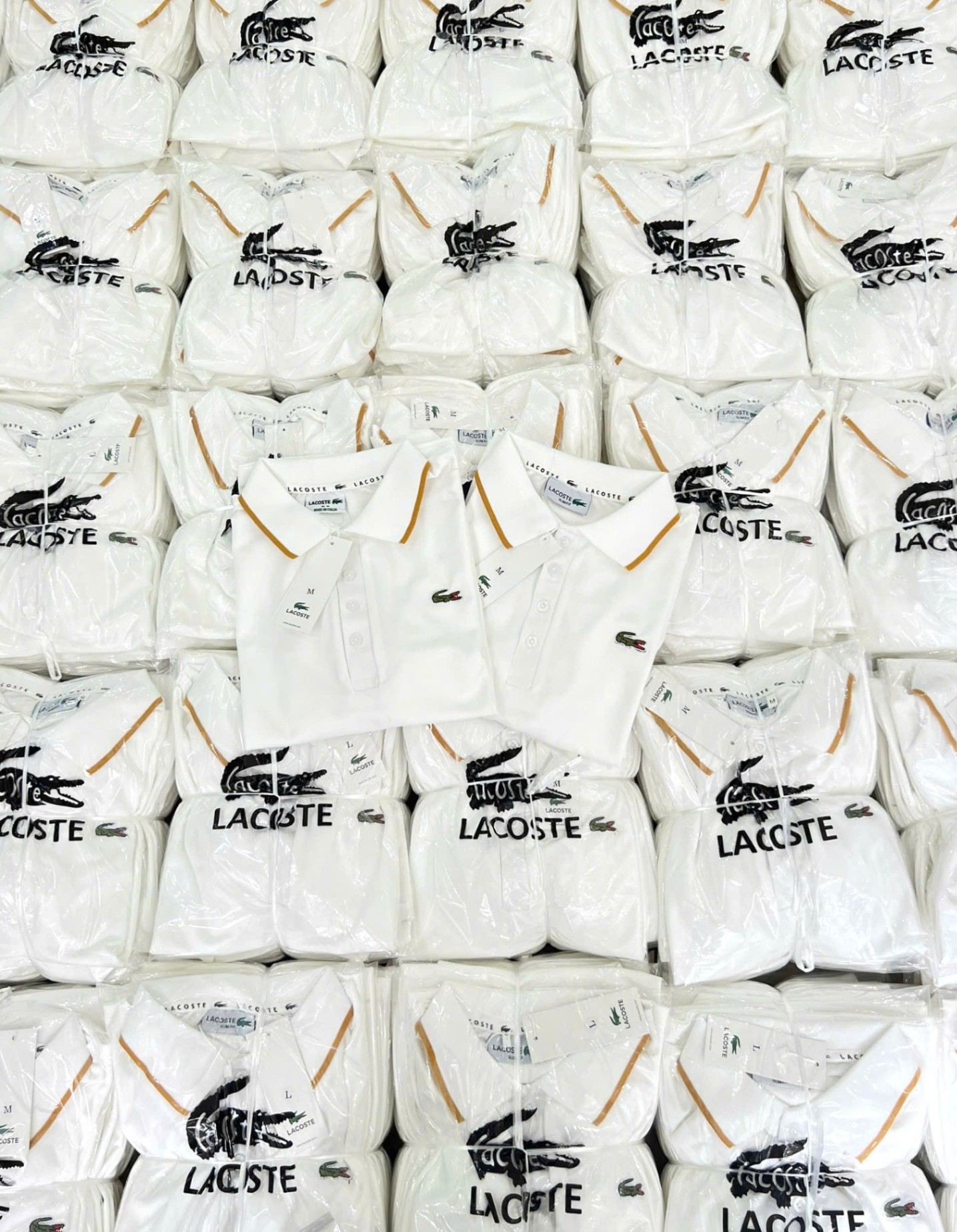 Y4566-ÁO POLO NỮ LASCOTE TRẮNG CỔ VIỀN VÀNG