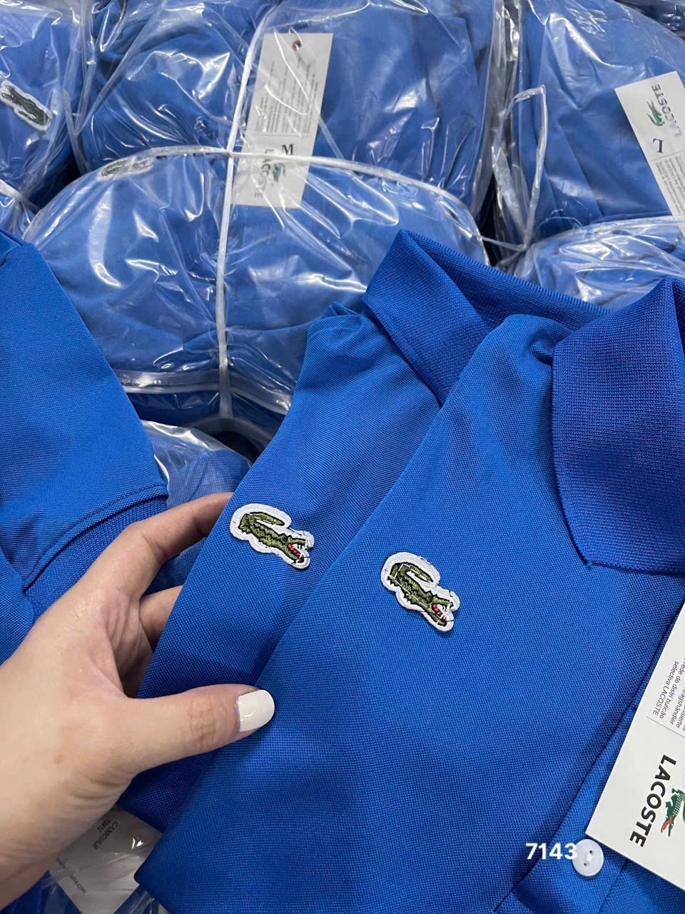 L445- ÁO POLO LACOSTE THÊU CÁ SẤU