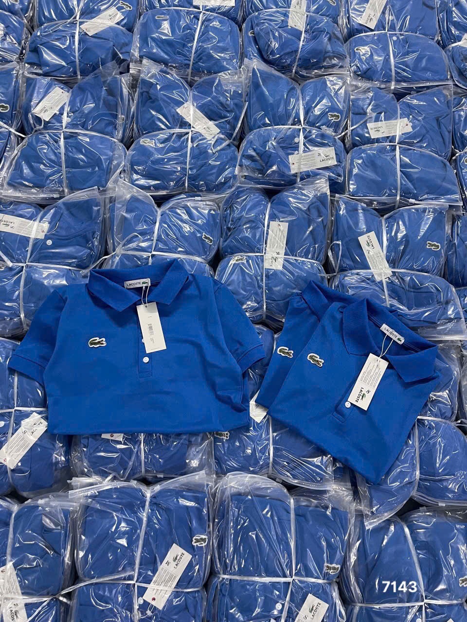 L445- ÁO POLO LACOSTE THÊU CÁ SẤU