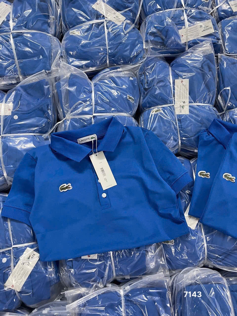 L445- ÁO POLO LACOSTE THÊU CÁ SẤU