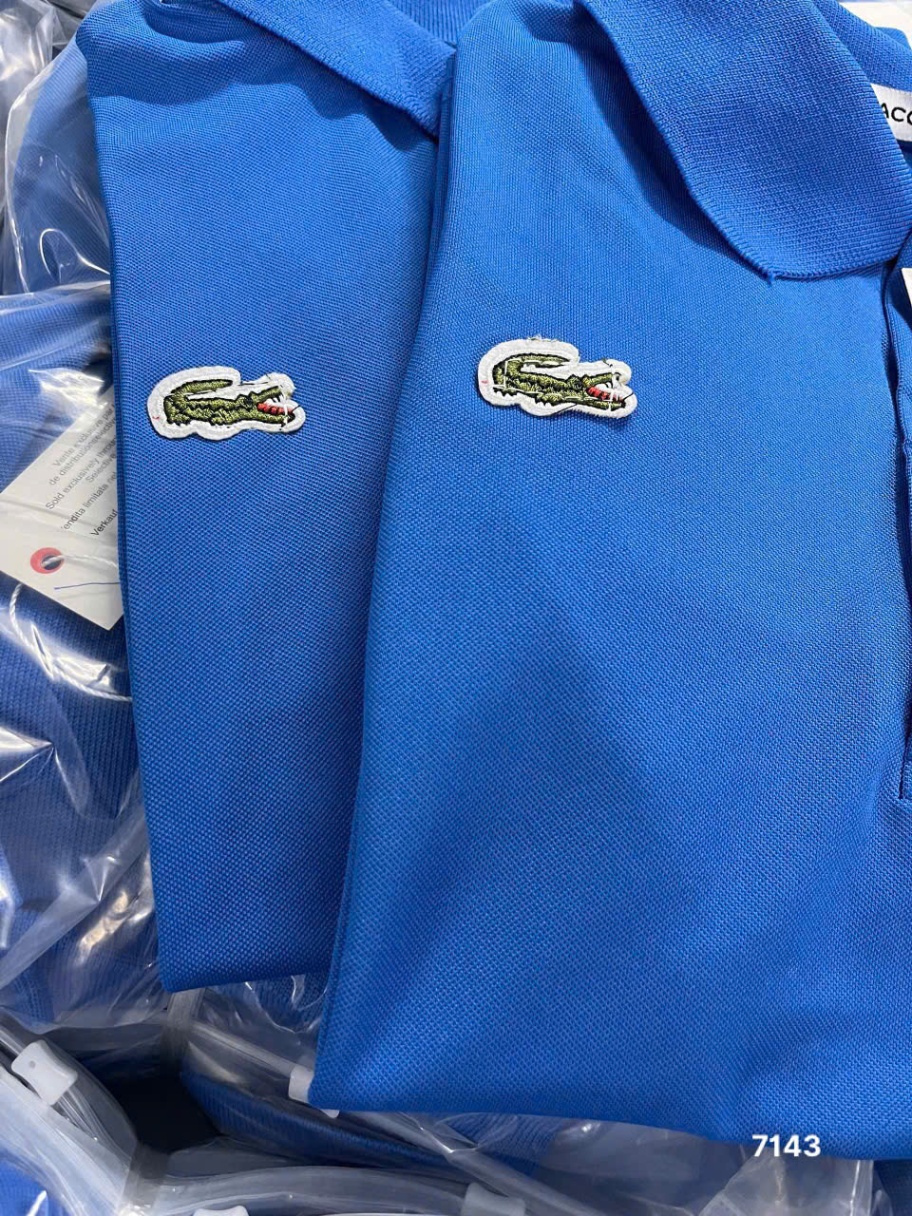 L445- ÁO POLO LACOSTE THÊU CÁ SẤU