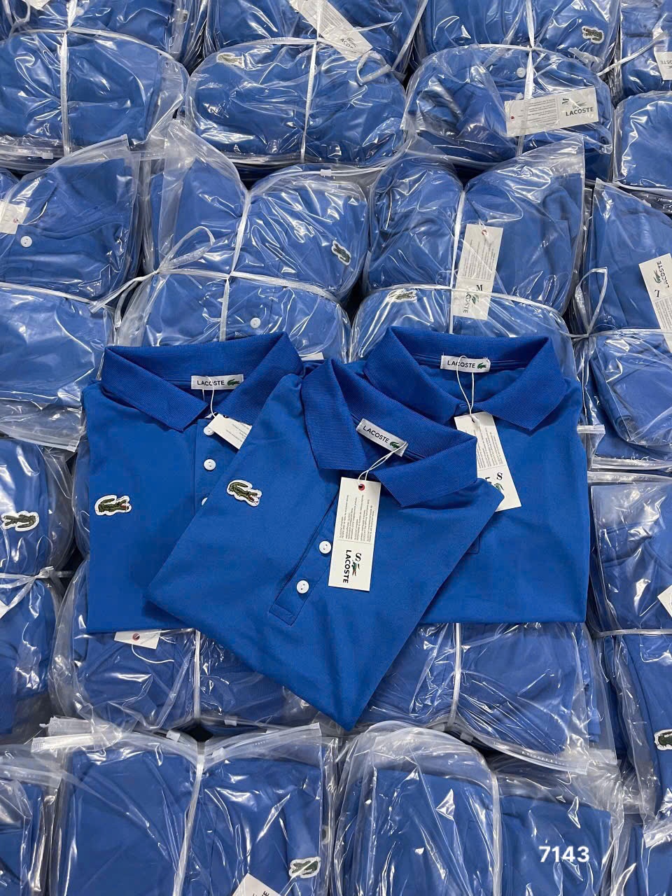 L445- ÁO POLO LACOSTE THÊU CÁ SẤU
