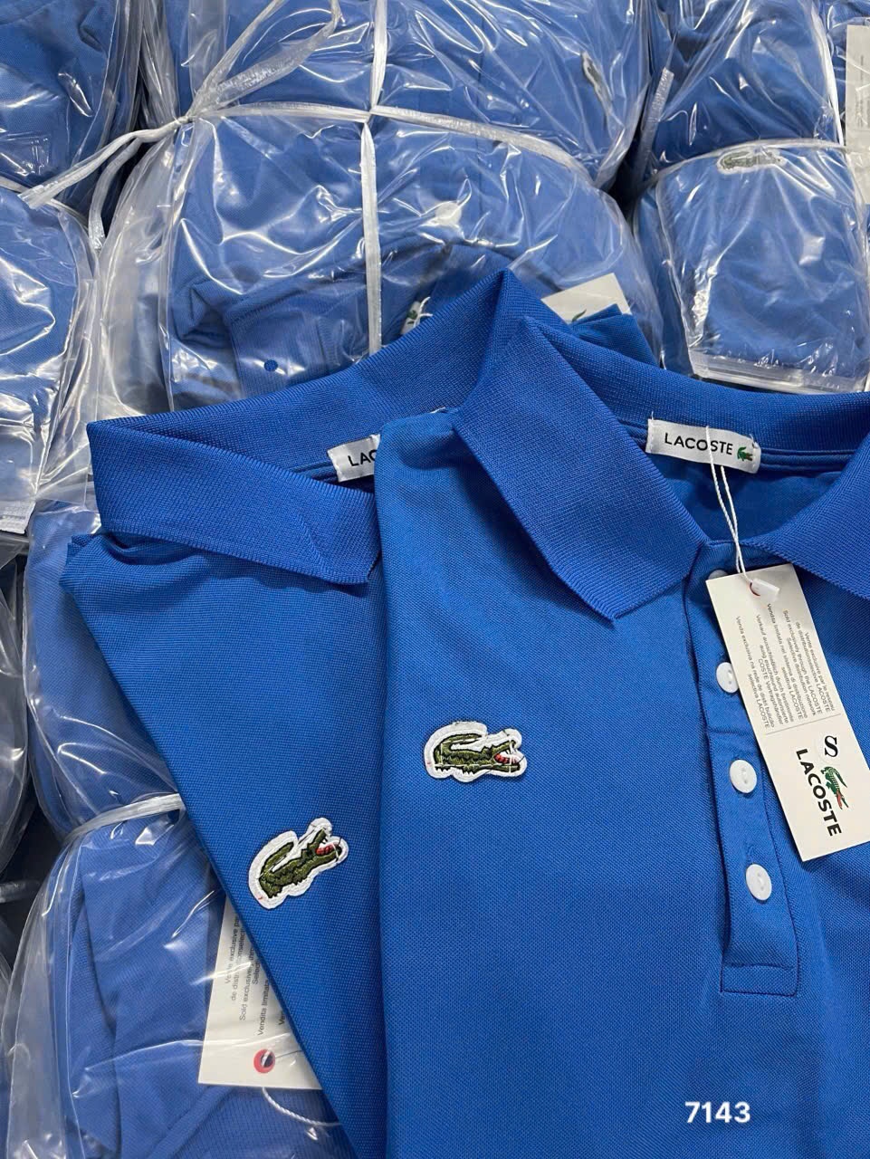 L445- ÁO POLO LACOSTE THÊU CÁ SẤU