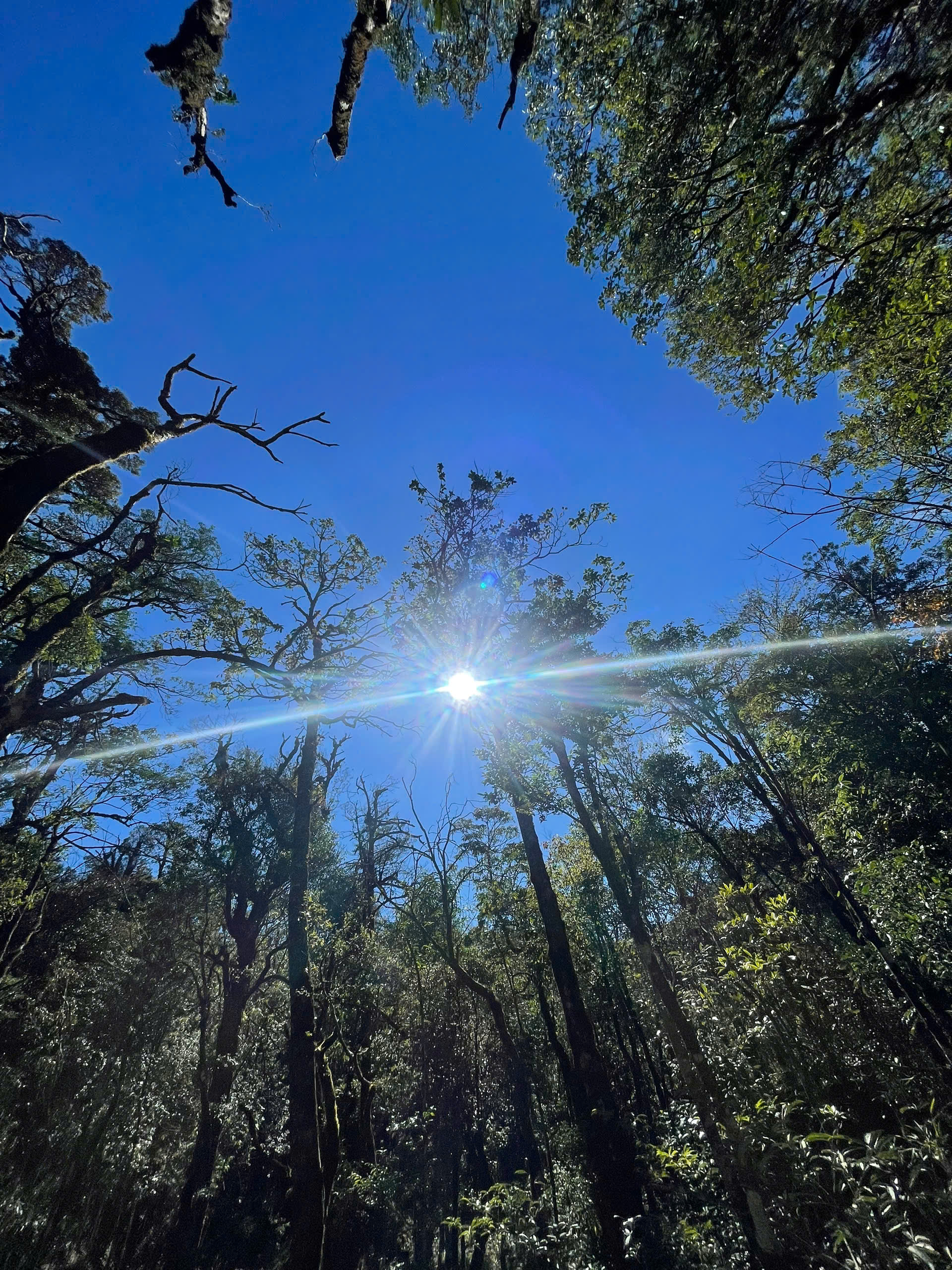 20250220_wV57q1tm.jpg
