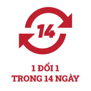 bn3