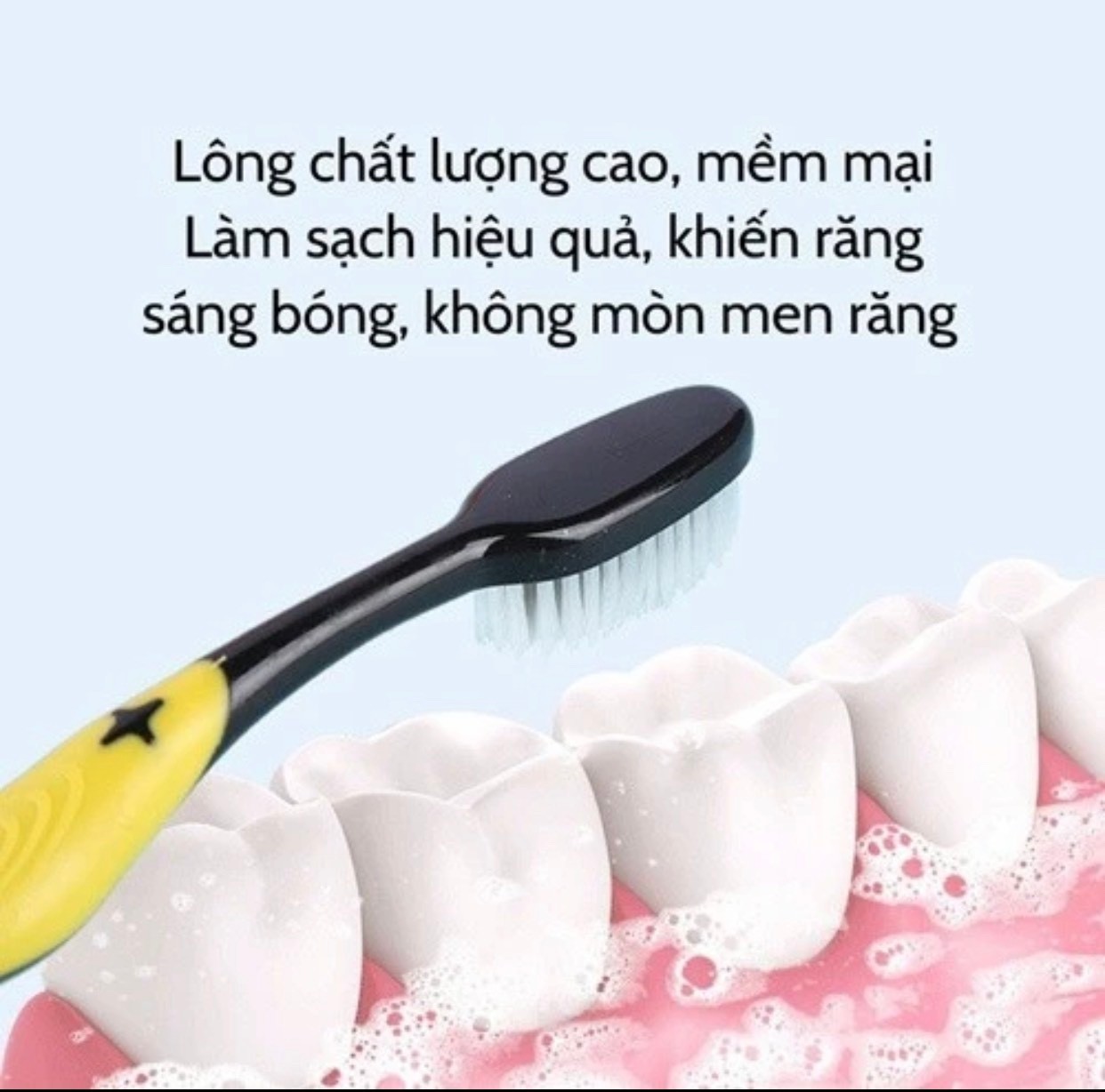 Hộp 30 cái bàn chải than tre BOSSI - Bàn chải đánh răng Bossi giá sỉ