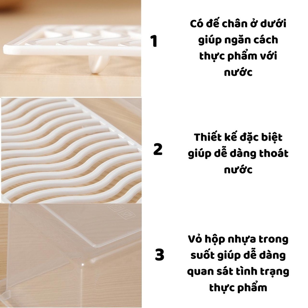 Hộp nhựa chia thực phẩm có nắp + khay ráo nước 28x12x6cm - Giá Sỉ