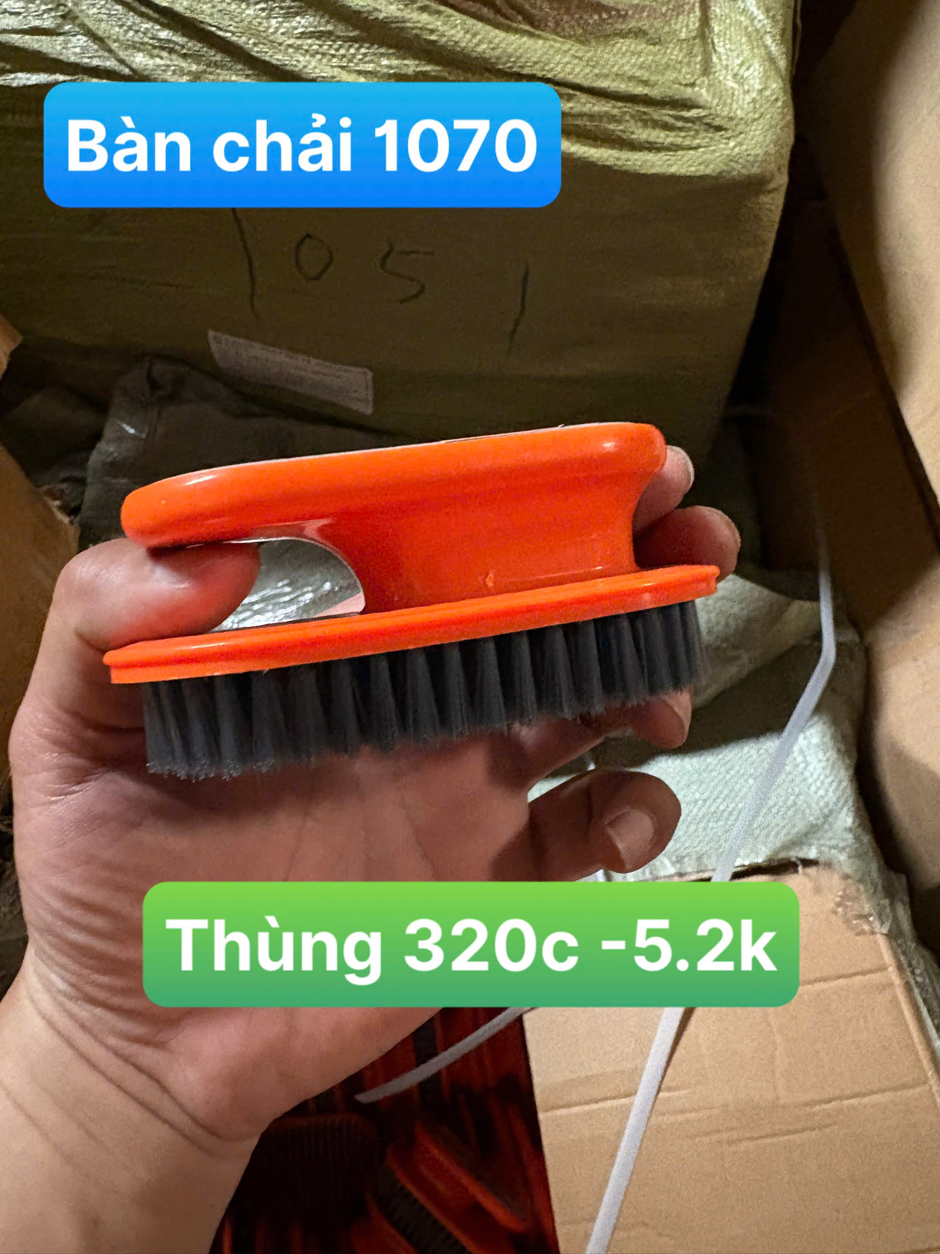 Bàn Chải Cao Cấp 1070 - Chà Chân, Giặt Đồ, Có Tay Cầm Đa Năng Tiện Lợi - Bàn chải giá sỉ