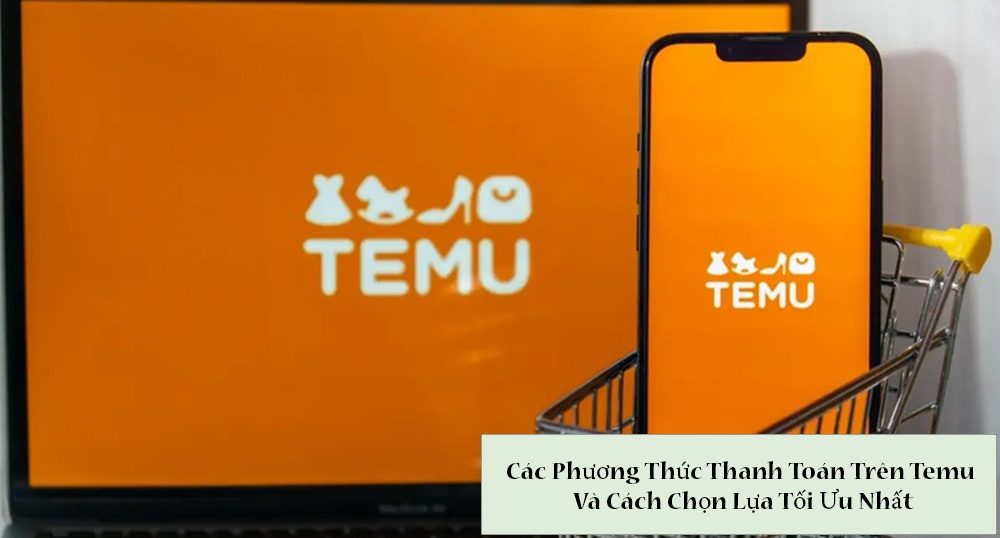 Các Phương Thức Thanh Toán Trên Temu Và Cách Chọn Lựa Tối Ưu Nhất