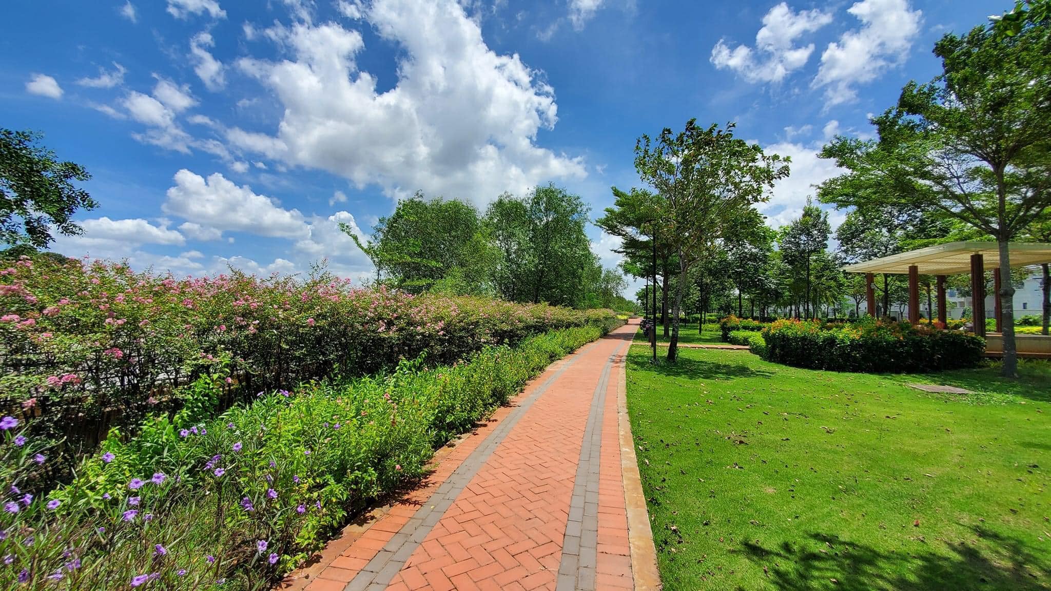 SwanBay-Developed-by-SwanCity-Group_7 SwanBay Nhơn Trạch.jpg