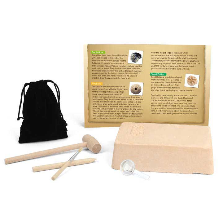 Đồ chơi Bộ Kit Khảo cổ học Hóa Thạch fossil excavation kit