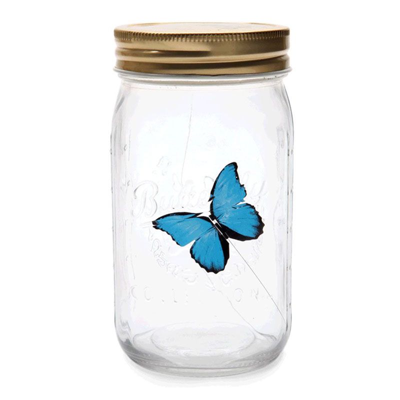 BƯỚM ĐIỆN TỬ (CHOU CHOU BUTTERFLY JAR)