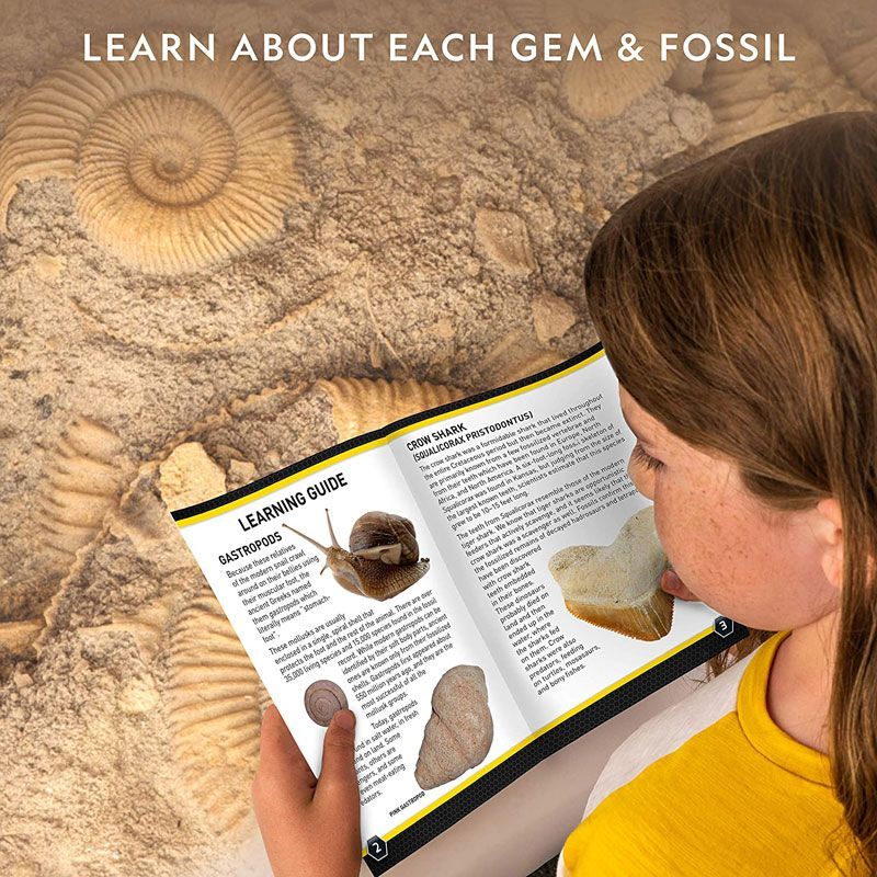 Đồ chơi khảo cổ học 20 mẫu Hóa Thạch/Đá Quý chính hãng NATIONAL GEOGRAPHIC Mega Fossil and Gemstone Dig Kits - Excavate 20 Real Fossils and Gems, Great STEM Science Gift for Mineralogy and Geology Enthusiasts