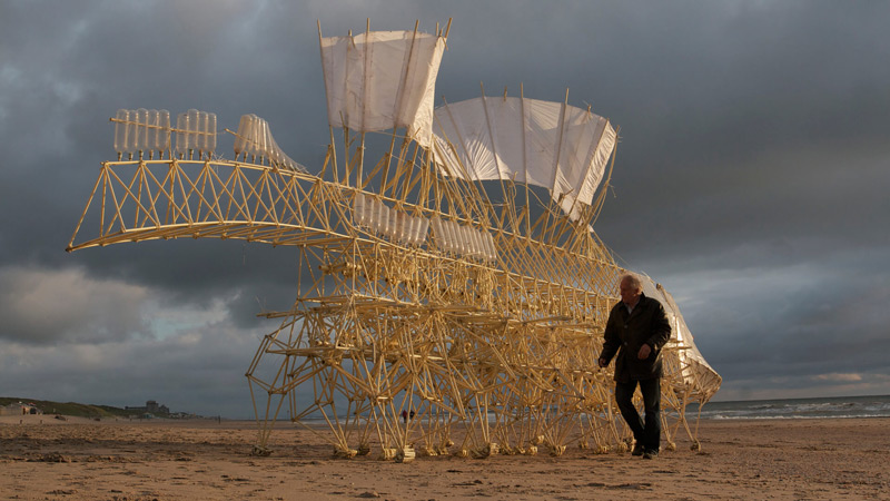 Bo-lap-rap-nang-luong-gio-Quai-vat-gio-Strandbeest-Wind-Power-Kit--1.jpg