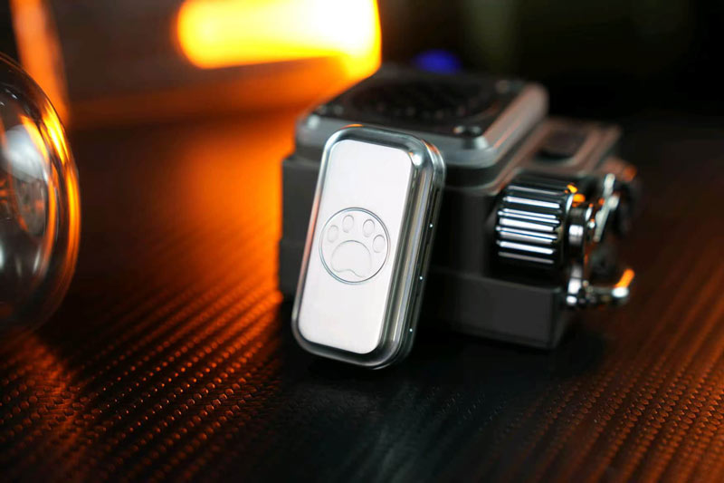 The-Day-EDC-Tieng-Chuong-Chan-Meo-Thep_the-day-edc-tieng-chuong-thep2.jpg