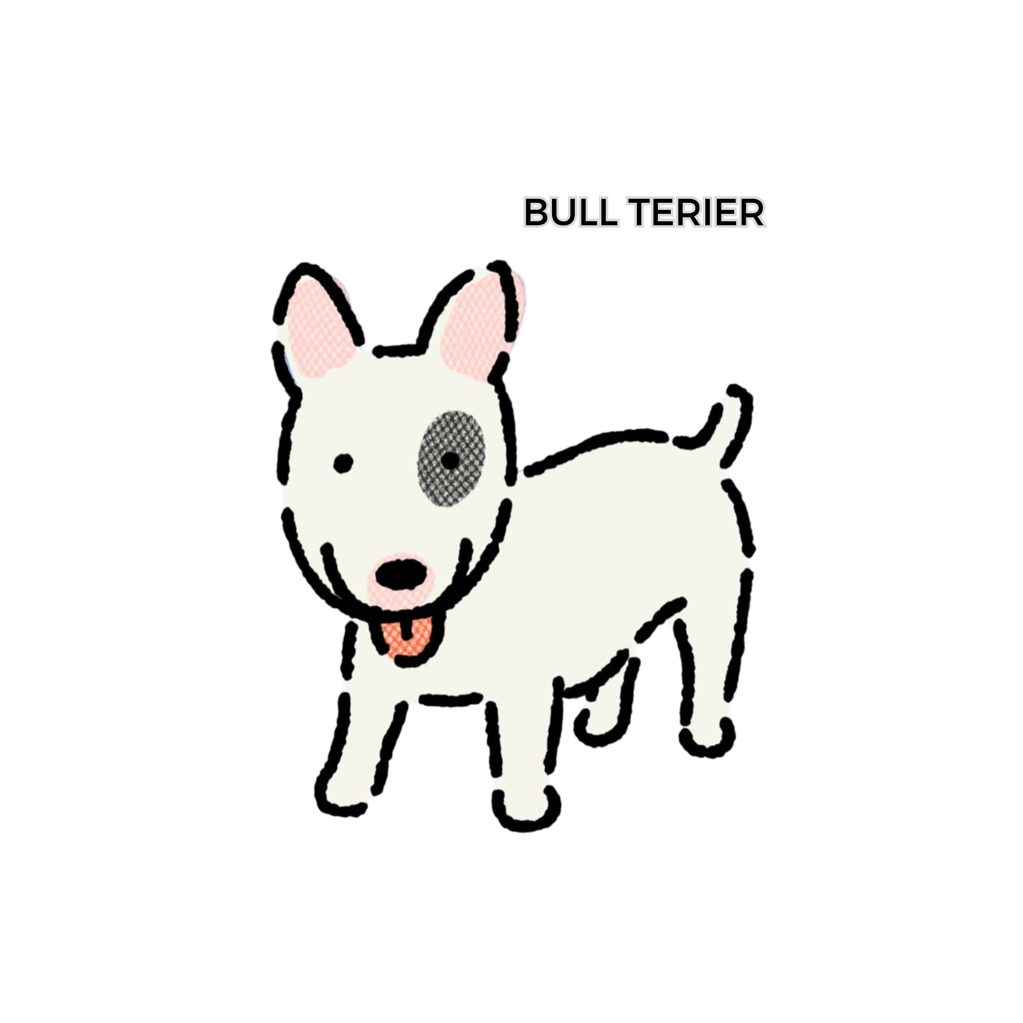 Áo FLEX® | Bull Terier