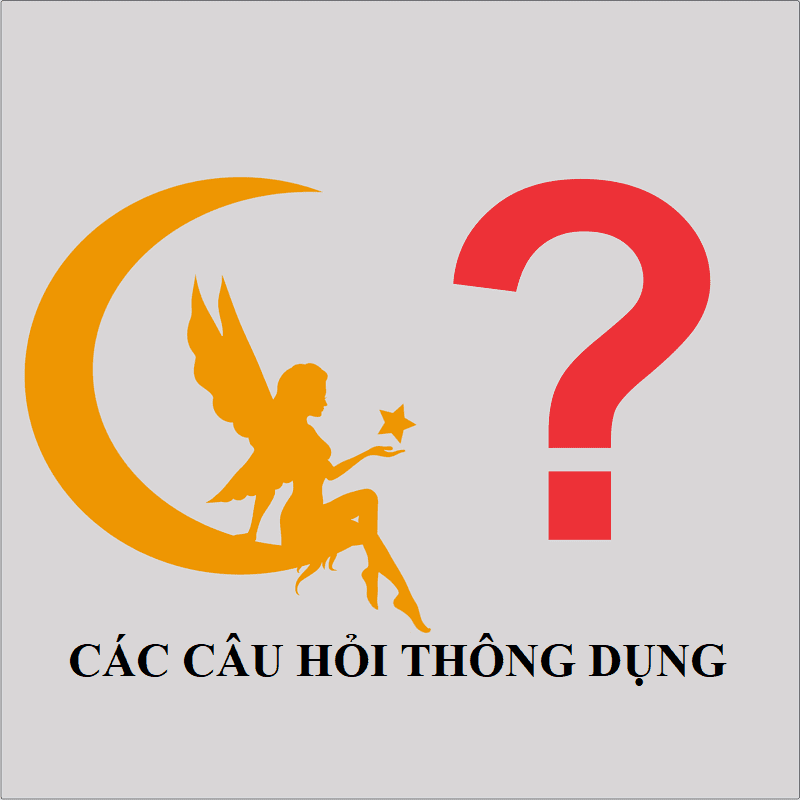 Hỏi đáp