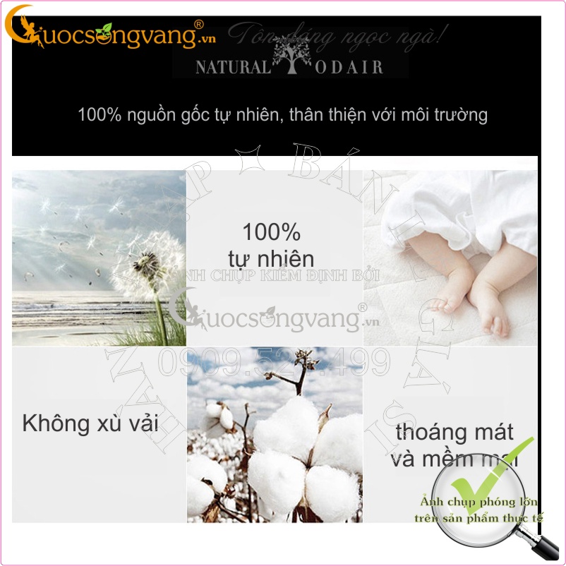 Áo nam áo thun nam cổ tròn hình đôi cánh GLA037 chất cotton co giãn