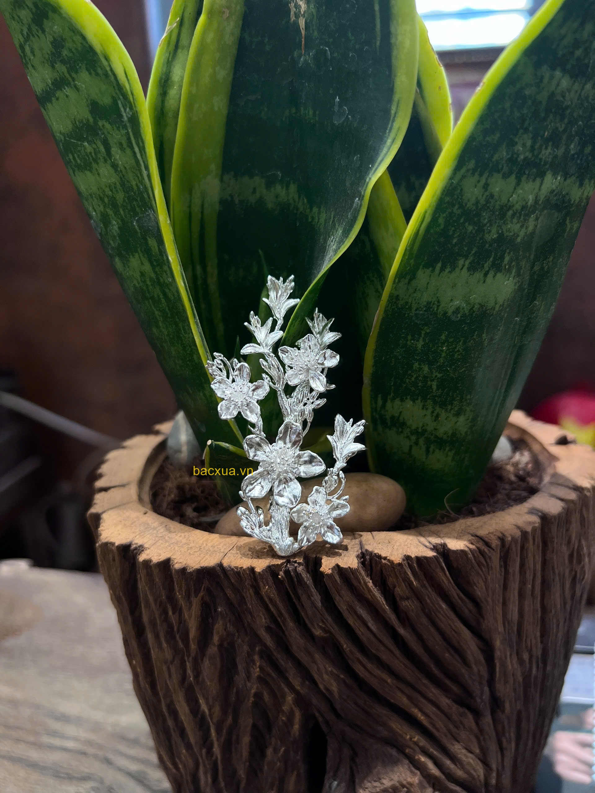 Cài áo hoa mai 3d bạc nguyên chất 99