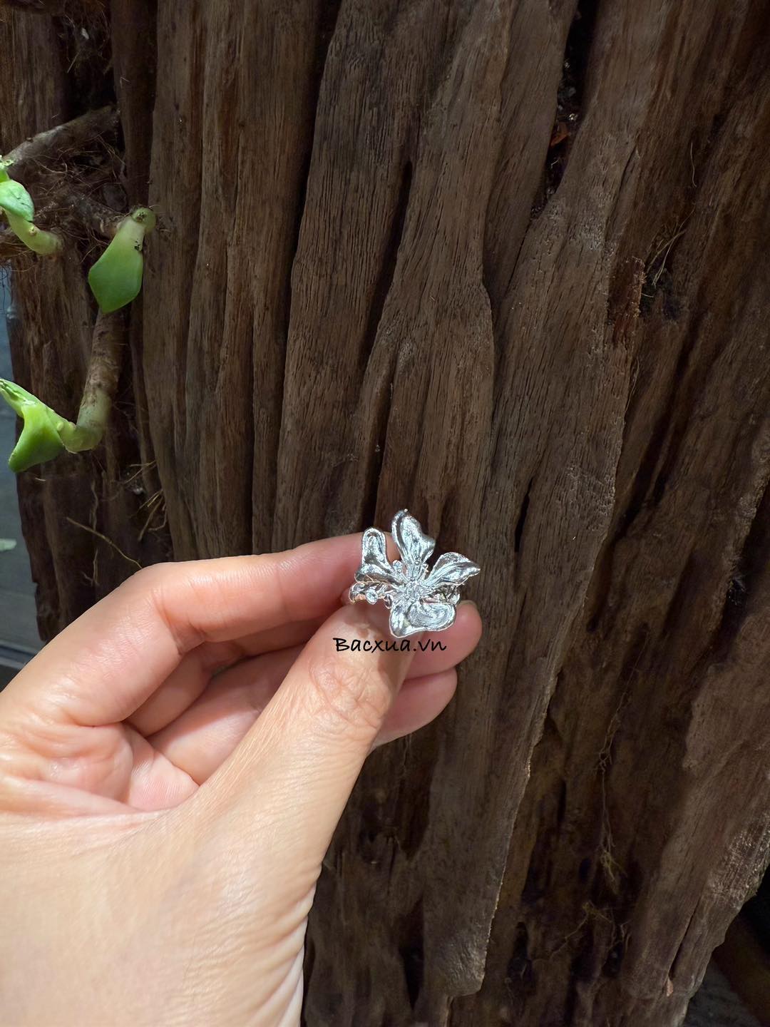 Nhẫn hoa dành dành bạc nguyên chất 99