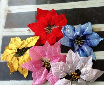23.11. Cửa hàng bán cây thông noel . 024.6260.26.96