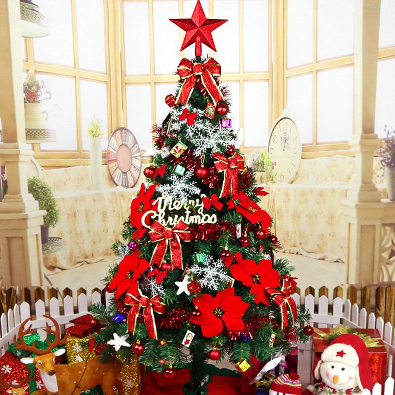 Cây Thông noel giá cả như thế nào ?