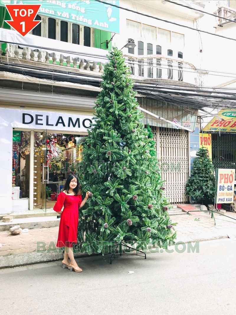 Cây thông 3 loại lá gắn trái thông 4.5m