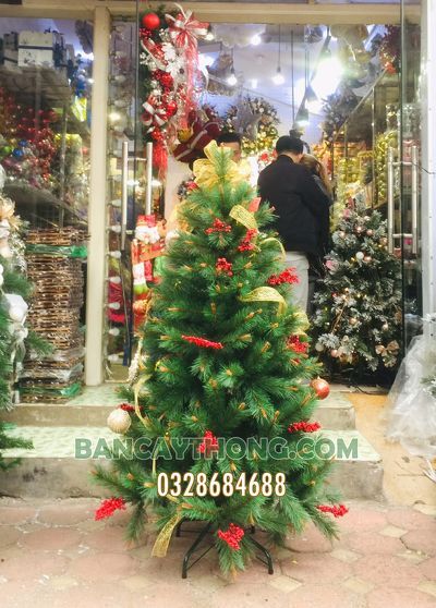 cây thông noel giá bao nhiêu