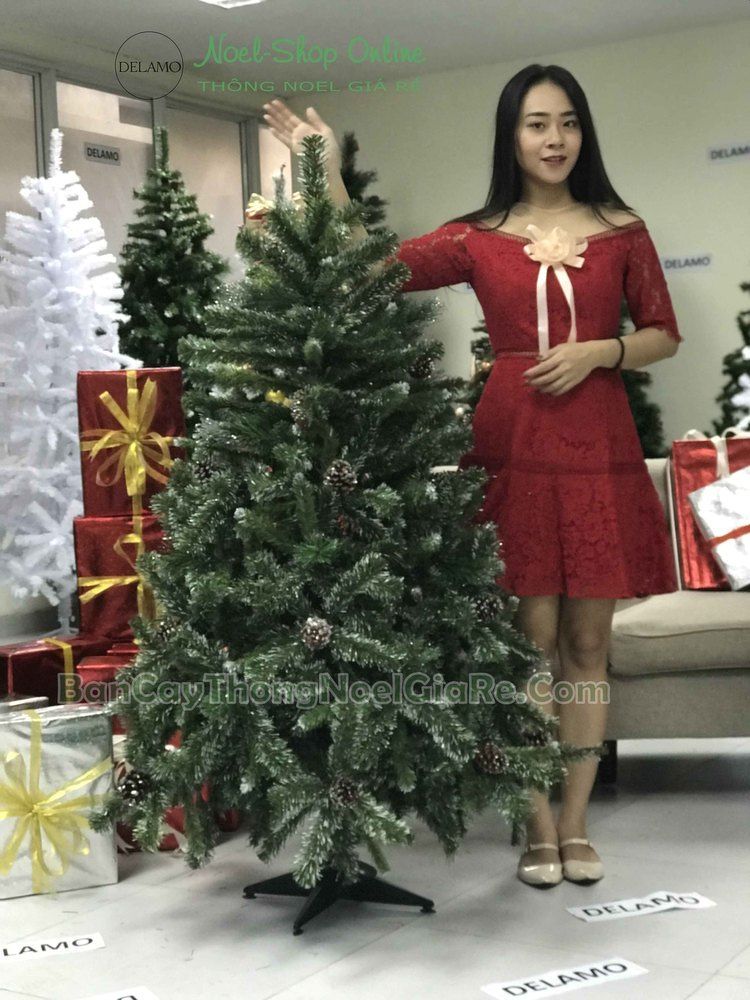 cây thông noel giá rẻ