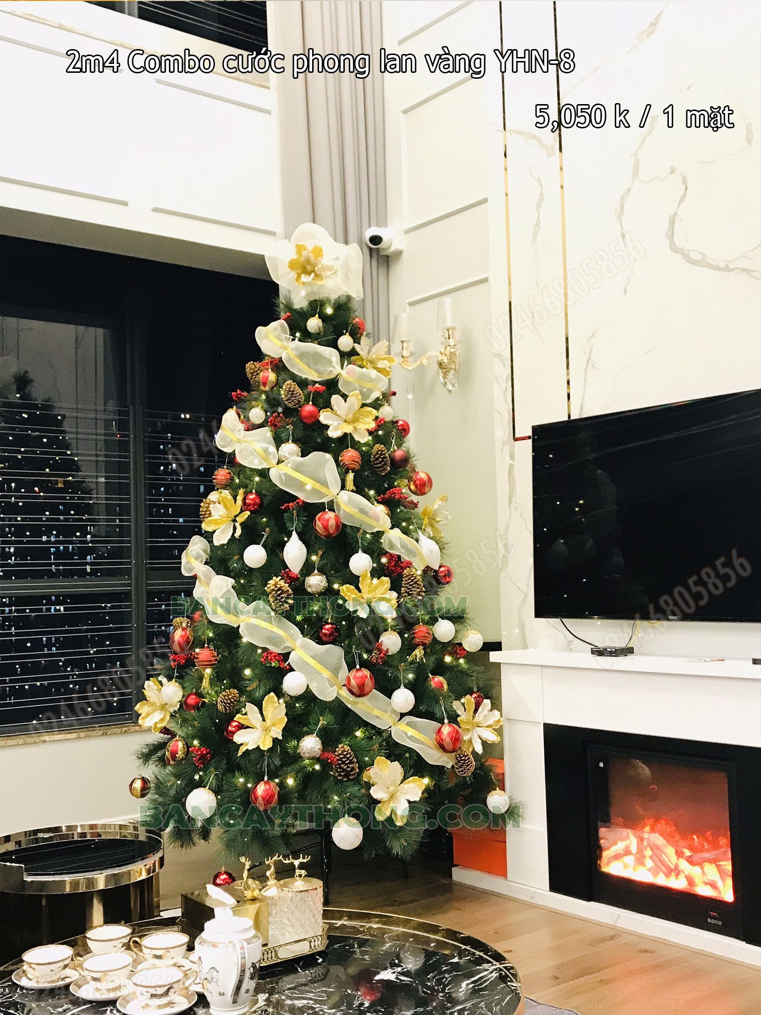 [09.11.2022] Cây thông noel cước đầu vàng YHN