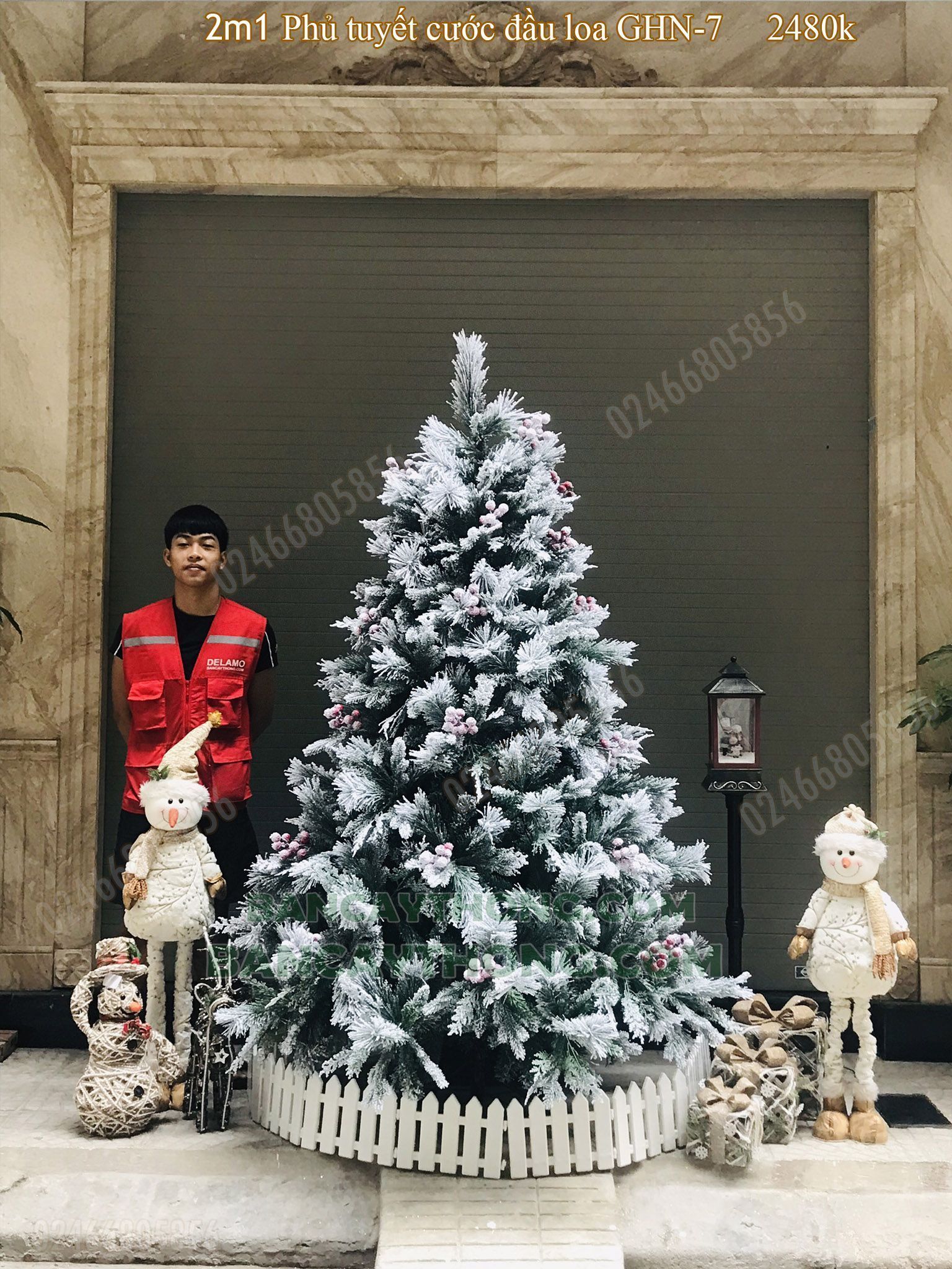 [09.11.2022] Cây thông noel phủ tuyết cước đầu loa GHN