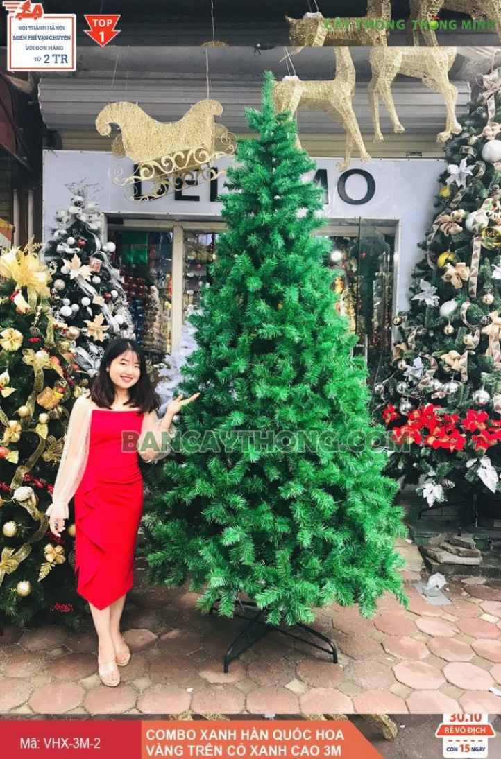 Cách chọn cây thông noel đẹp cho cửa hàng