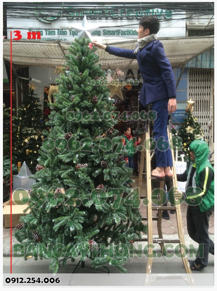 dịch vụ trang trí noel mặt tiền 20.10.2023