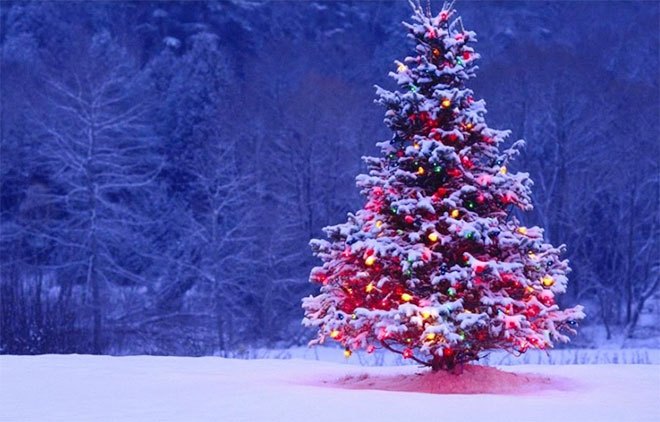 Có những phụ kiện noel nào đẹp cho cửa hàng