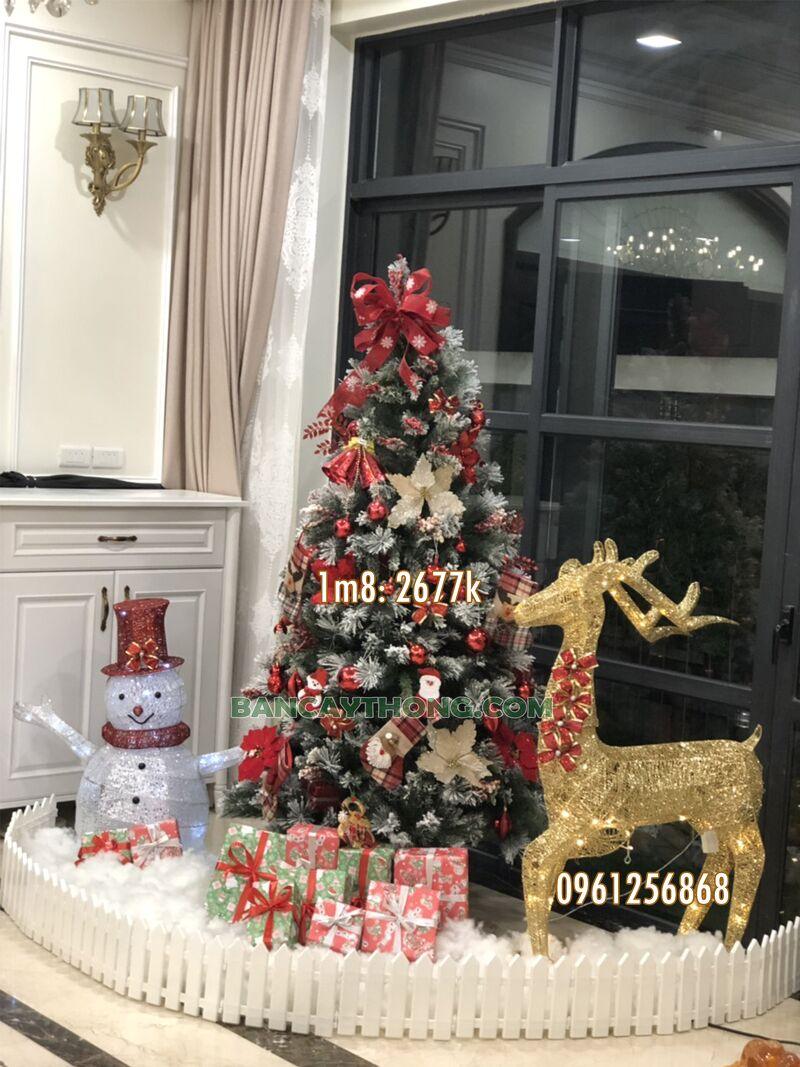 Nơi bán sỉ cây thông noel 14.10.2023