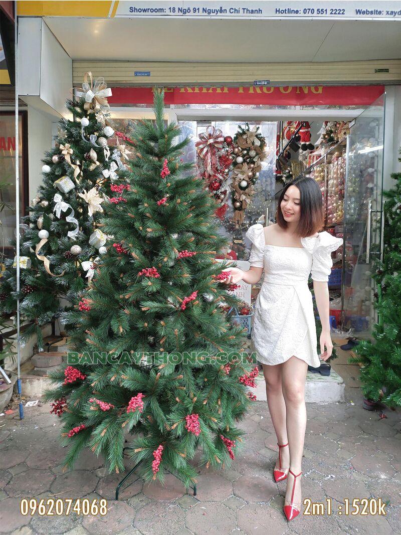 Phụ kiện trang trí noel 14.10.2023