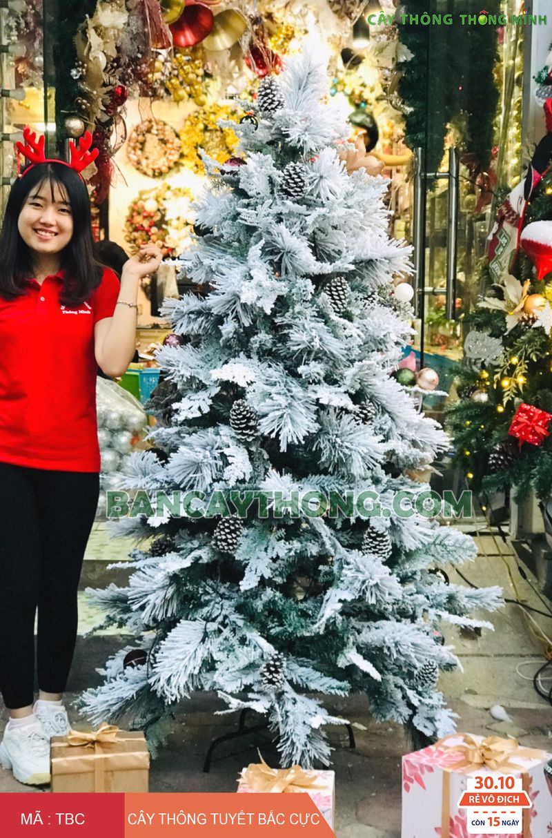 Trang trí cây thông đẹp cho cửa hàng 14.10.2023