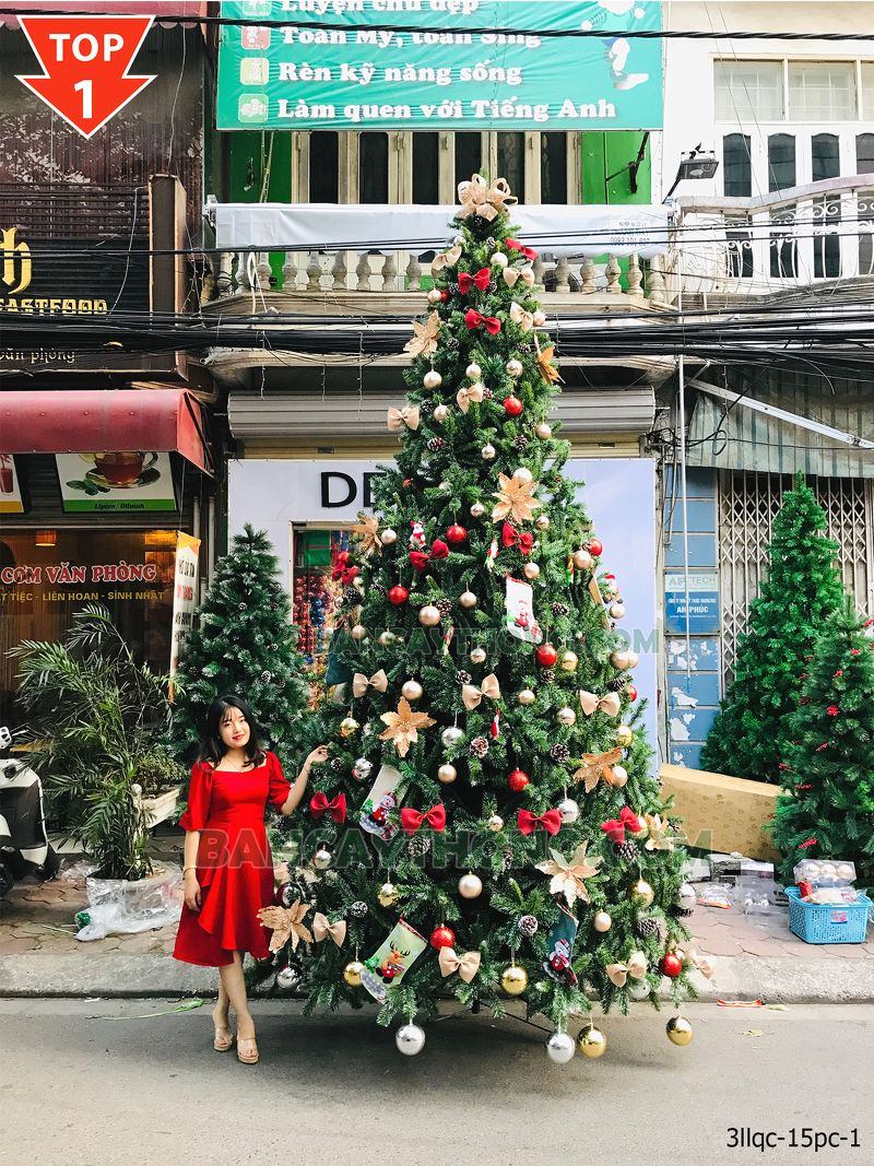 Bán sỉ cây thông noel 13.10.2023