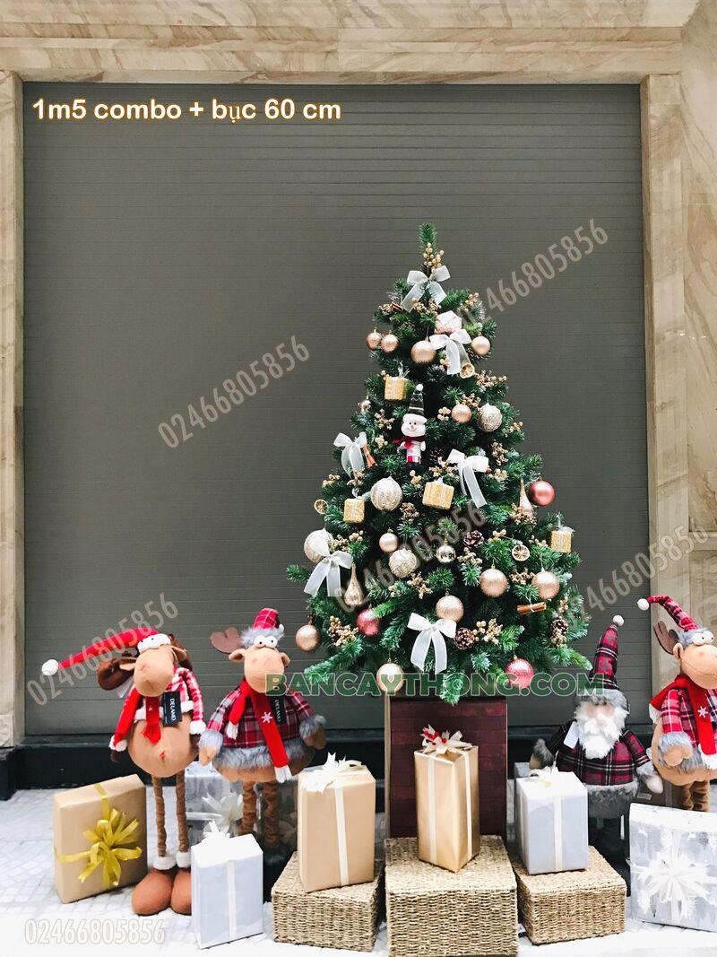 Mua cây thông noel giá sỉ 13.10.2023