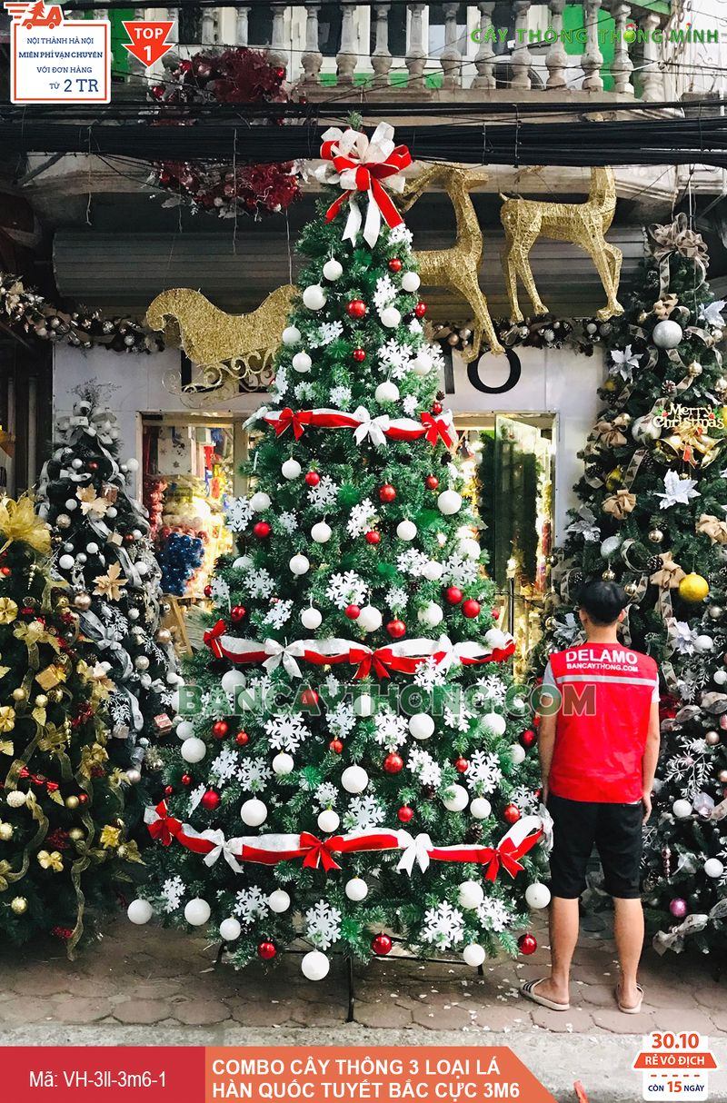 Dịch vụ trang trí cây thông Noel cỡ lớn 22.10.2023