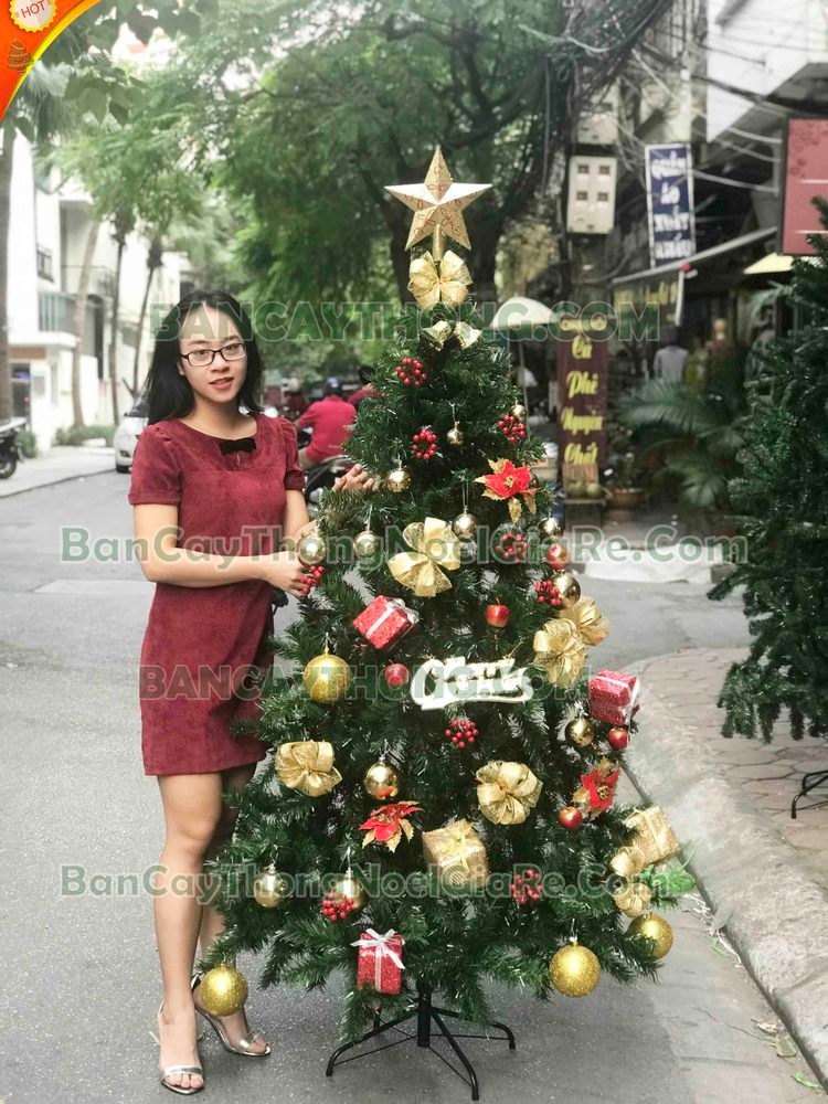 dịch vụ trang trí noel khách sạn 19.10.2023