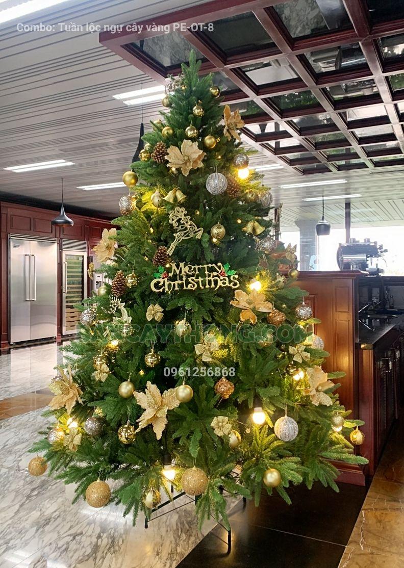 mua cây thông noel cho khách sạn 30.10.2023