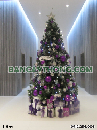 dịch vụ trang trí noel biệt thự 19.10.2023