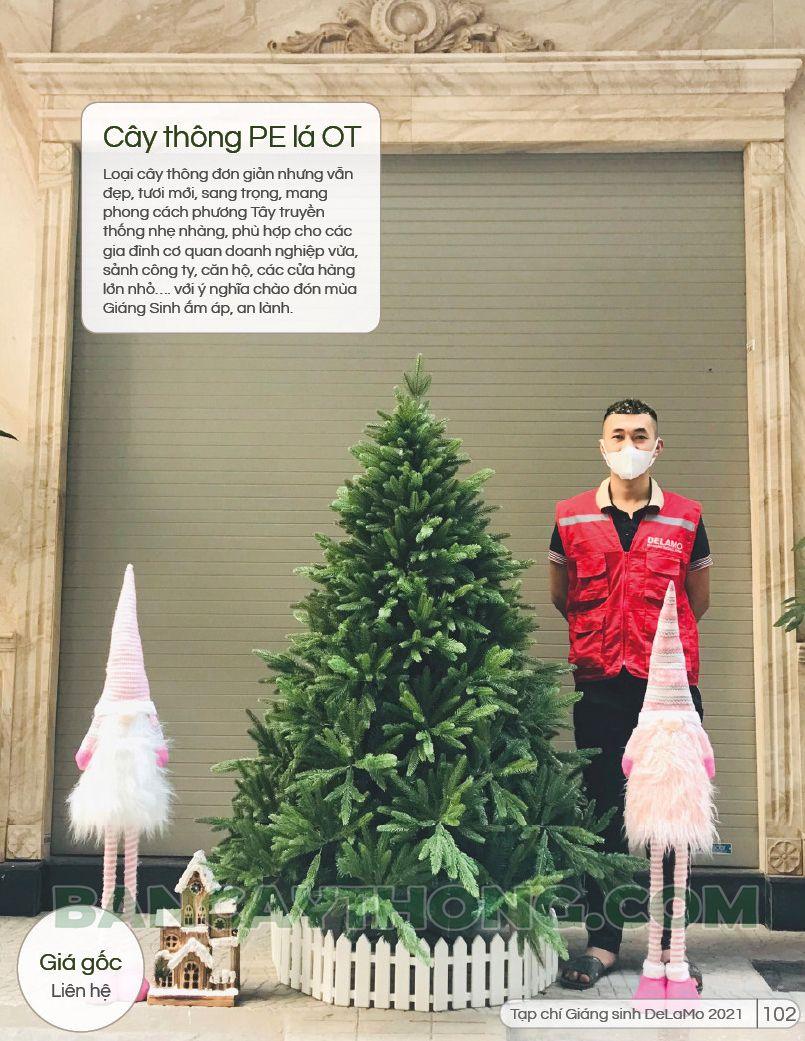 dịch vụ trang trí noel công ty 19.10.2023