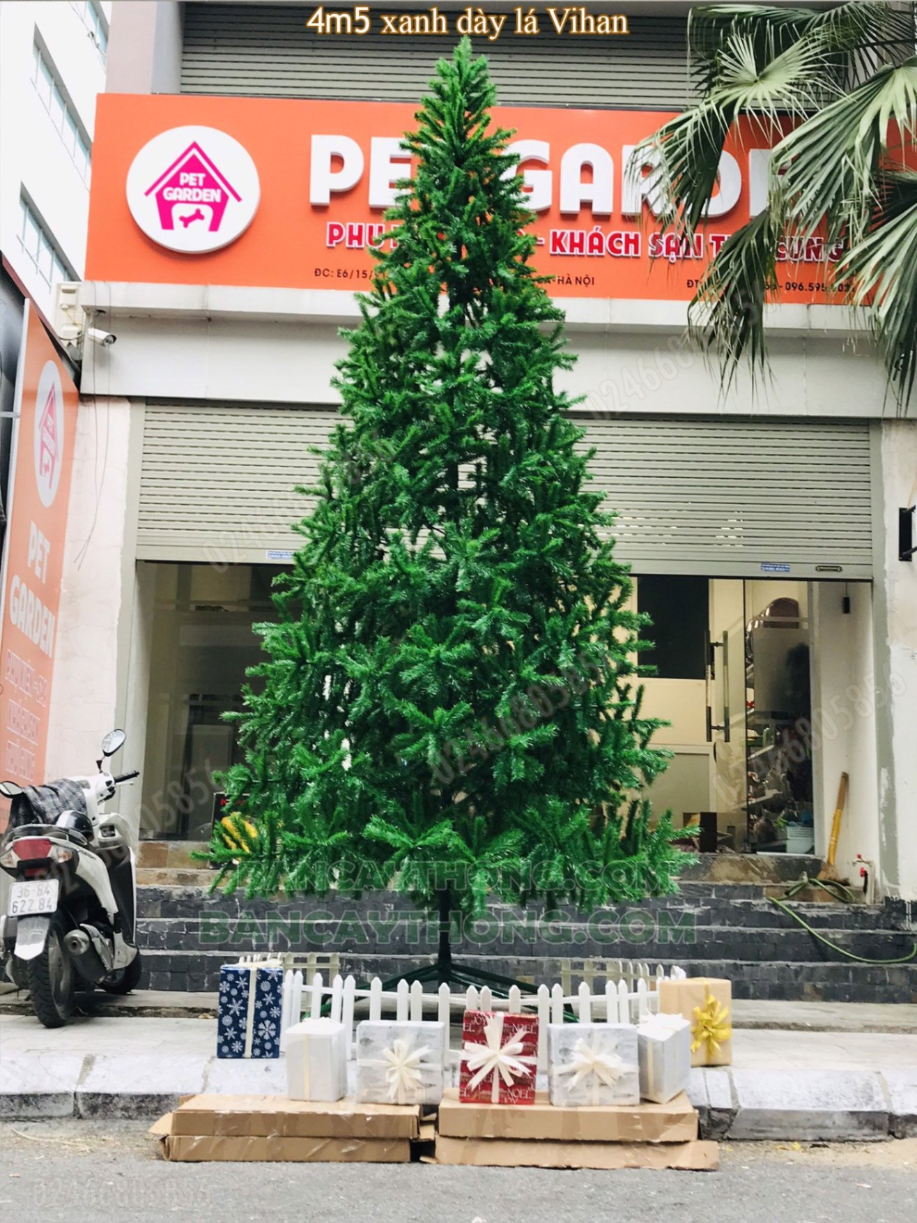 Thuê đơn vị lắp và trang trí trọn gói cây thông noel 3m 4m 5m 6m 22.10.2023