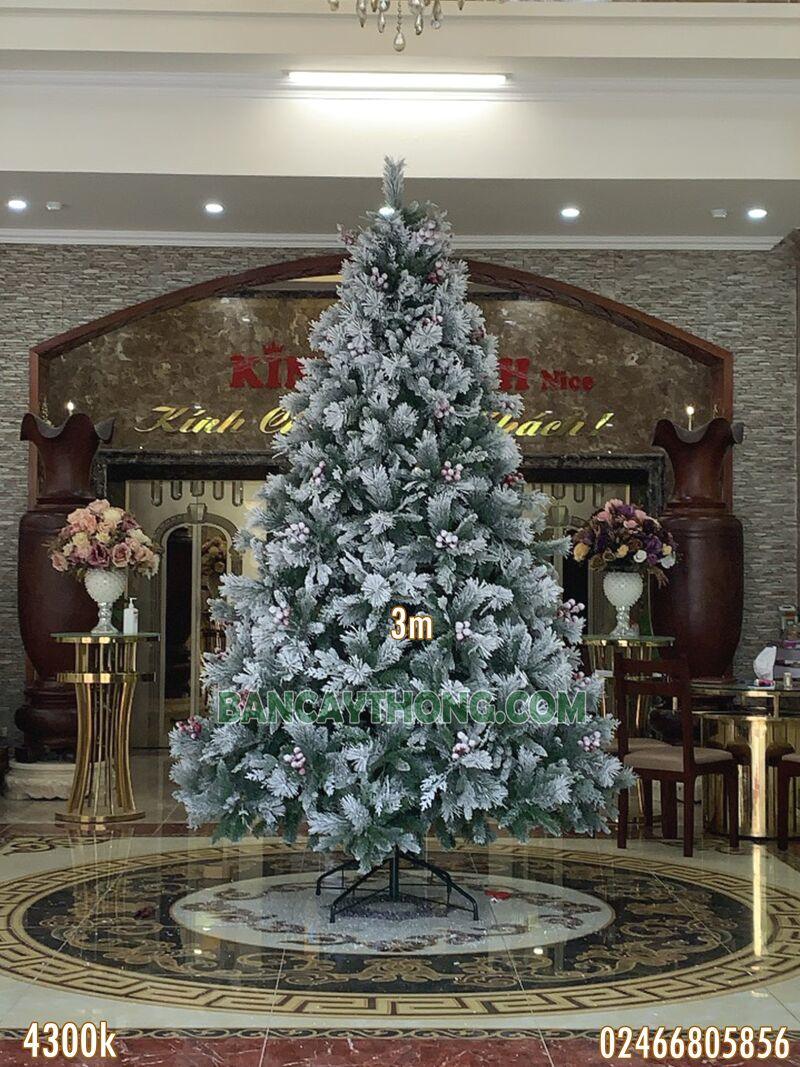 Mẫu trang trí decor tiểu cảnh noel cao cấp cho biệt thự