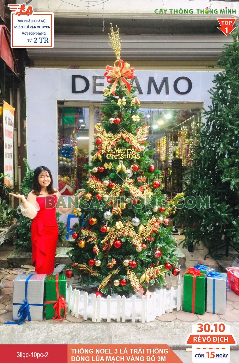 mua cây thông noel cho phòng sếp 30.10.2023
